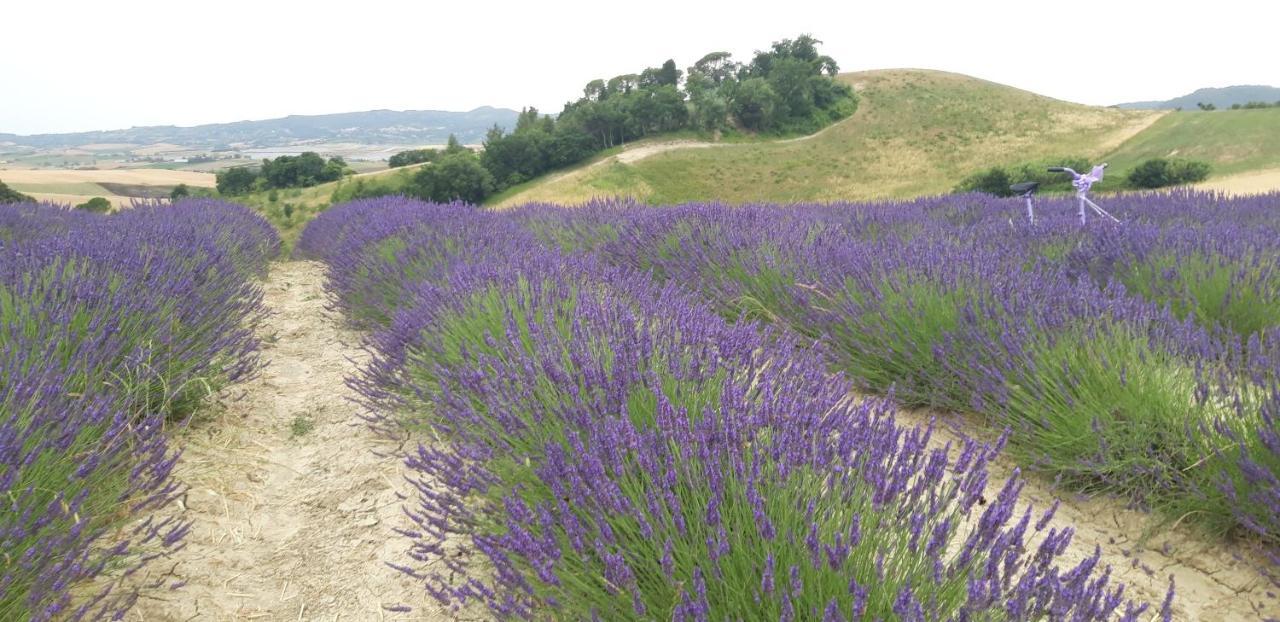 La Casa Della Pieve Vecchia Apartment Marmigliaio ภายนอก รูปภาพ